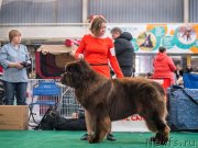 Превью фото № 232636