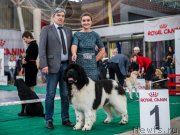 Превью фото № 232637