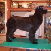 Превью фото № 232663