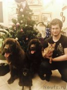 Превью фото № 232667