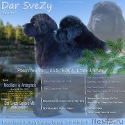 Превью фото № 232674