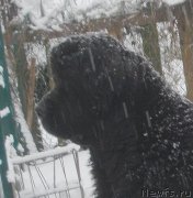 Превью фото № 232677