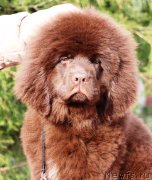 Превью фото № 232735