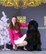 Превью фото № 232755