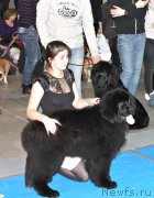 Превью фото № 232800