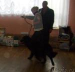 Превью фото № 23285