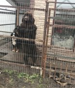 Превью фото № 232867