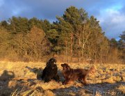 Превью фото № 232932