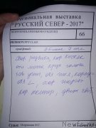 Превью фото № 232953