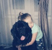 Превью фото № 232955