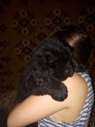 Превью фото № 232971