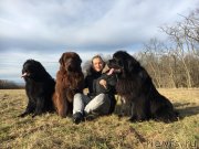 Превью фото № 233059