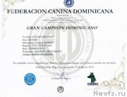 Превью фото № 233073