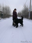 Превью фото № 233077