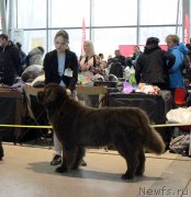 Превью фото № 233103