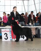 Превью фото № 233112