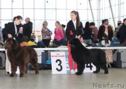 Превью фото № 233113