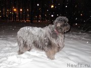 Превью фото № 233240