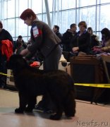 Превью фото № 233244