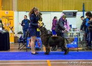 Превью фото № 233320