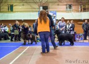 Превью фото № 233322