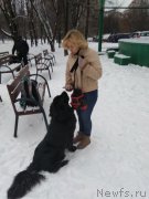 Превью фото № 233384