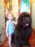 Превью фото № 233413