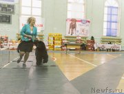 Превью фото № 233469