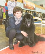 Превью фото № 233472