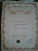 Превью фото № 233632