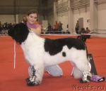 Превью фото № 2338