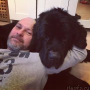 Превью фото № 233816