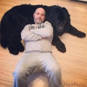 Превью фото № 233817