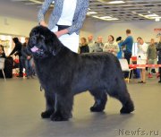 Превью фото № 233826