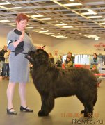 Превью фото № 233831