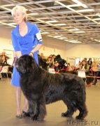 Превью фото № 233834