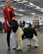 Превью фото № 233838