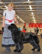 Превью фото № 233854