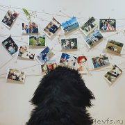 Превью фото № 233888