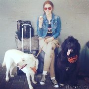 Превью фото № 233891