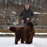 Превью фото № 233952