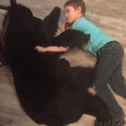 Превью фото № 233953