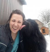 Превью фото № 233991