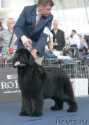 Превью фото № 234017