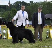 Превью фото № 234018