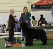 Превью фото № 234021