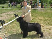 Превью фото № 234022