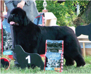 Превью фото № 234023