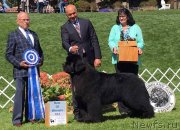 Превью фото № 234024