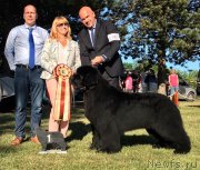 Превью фото № 234025